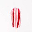 50g flat lollipop - handpressed - Raspberry flavour