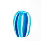 30g flat lollipop - Blueberry flavour