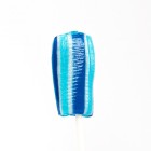 50g flat lollipop - handpressed - blueberry flavour